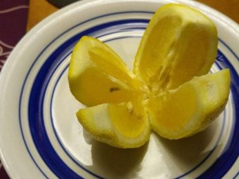 Voici Ce Qui Arrive Lorsque Vous Dormez Avec Du Citron Sur Votre Table