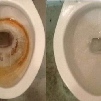Vergilbte Toilettenschüssel voller Kalk, entfernen Sie alles mit dieser Zutat in der Küche