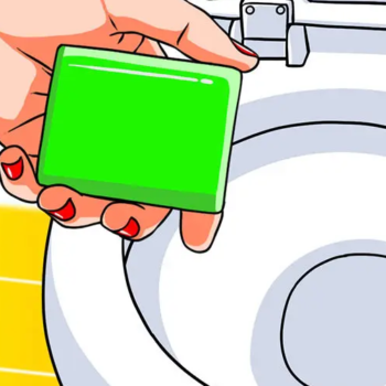 Warum muss man Seife in die Toilette werfen? Der geniale Trick, der das Leben leichter macht