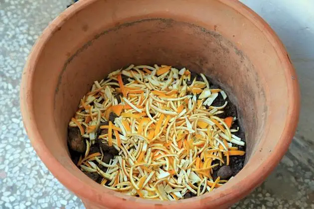 recycler pelures d'orange compost